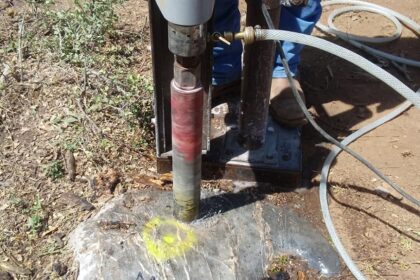 extraccion-nucleos-apico