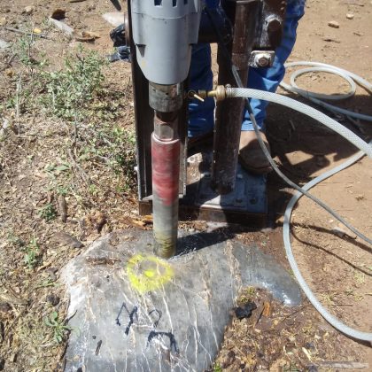 extraccion nucleos apico